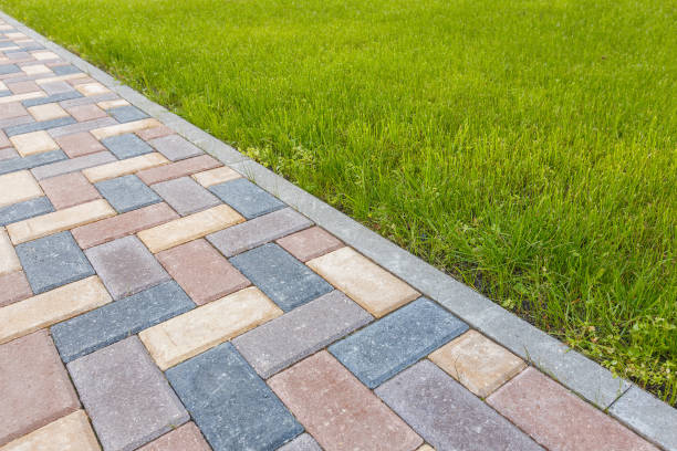 Best Professional Driveway Pavers  in North College Hill, OH